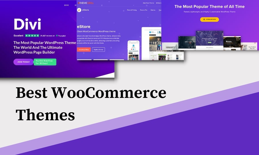 The best WooCommerce Plugins in WordPress